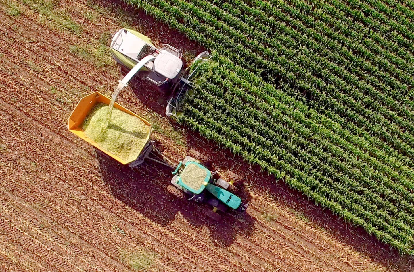 Sustainable Agribusiness