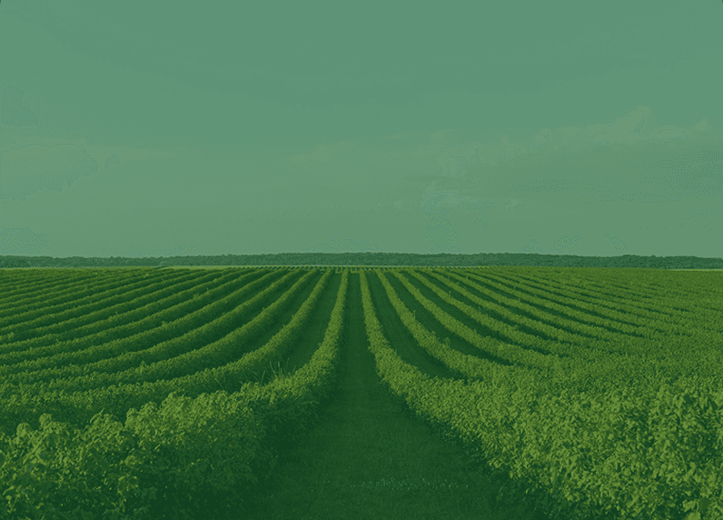 Agriculture