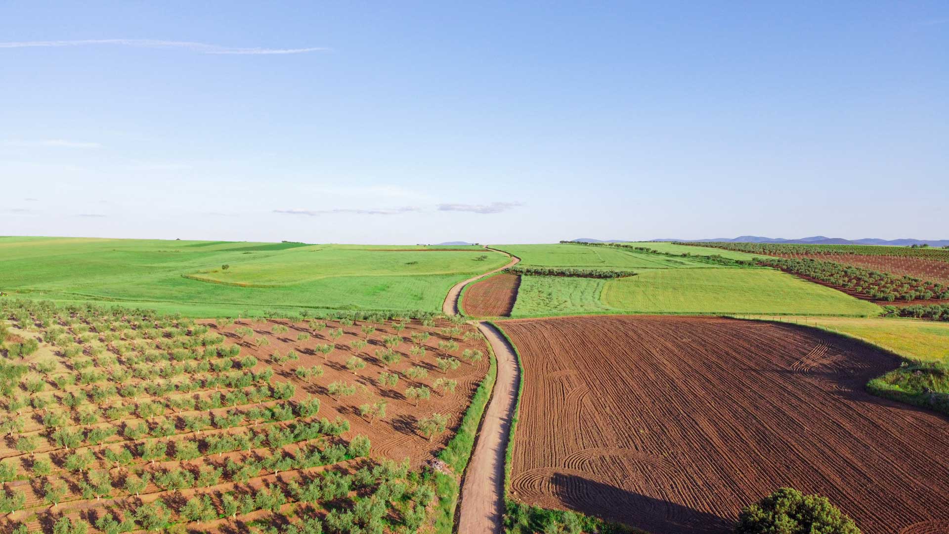 Functional Farm in Minas Gerais