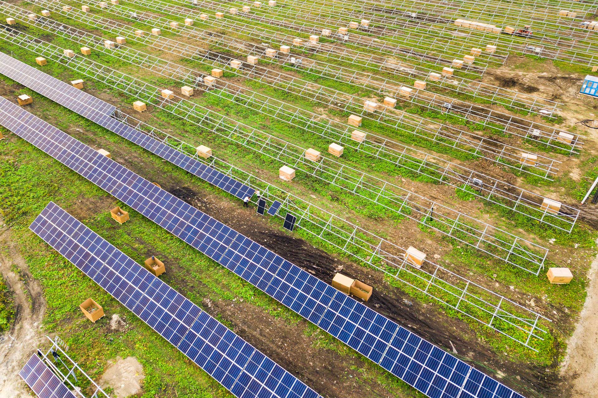 Solar Farm Startup in São Paulo